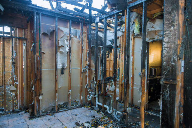Professional Fire Damage Restoration technician working in Vienna, VA
